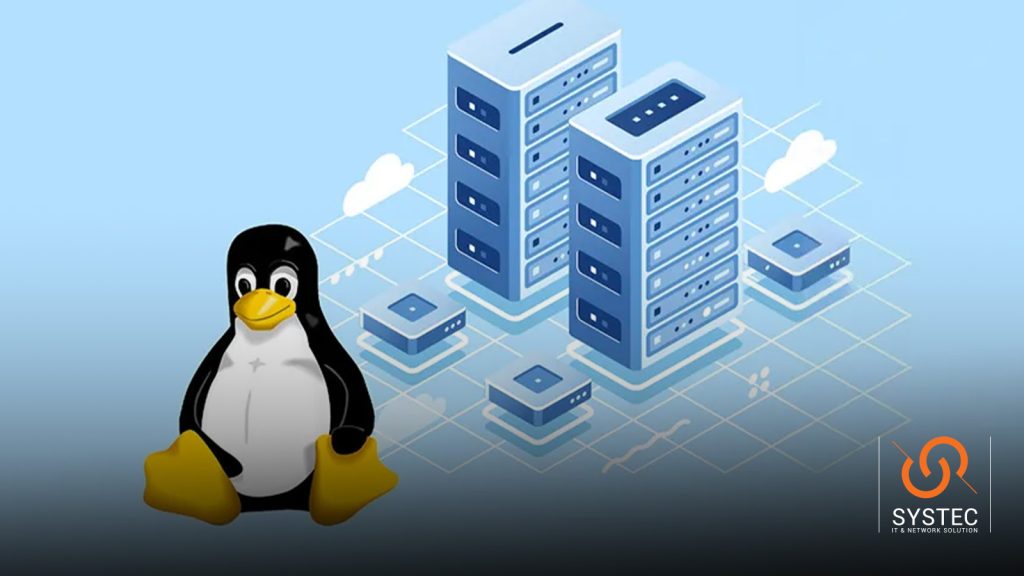 هاست لینوکس چیست